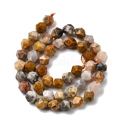 Chapelets de perles en agate fou naturel&nbsp;G-Z119-A13-02