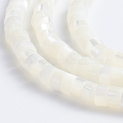 Natürliche Trochidschale / Trochusschalenperlenstränge&nbsp;X-SSHEL-L016-13A