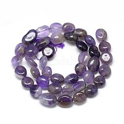 Natürlichen Amethyst Perlen Stränge&nbsp;G-R445-8x10-02