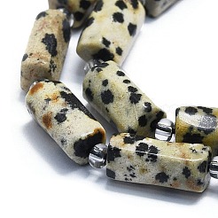 Chapelets de perles en jaspe dalmatien naturelle&nbsp;G-K245-I03-01