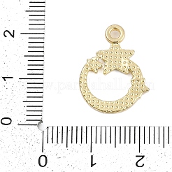 Gestell-Plating-Legierung&nbsp;FIND-K020-05G