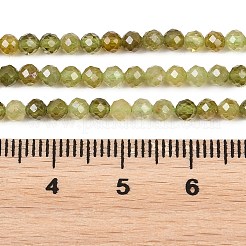 Naturelles grenat vert brins de perles&nbsp;G-B181-A01-3mm