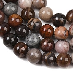 Natürliche versteinertes Holz runden Perle Stränge&nbsp;G-F266-08-8mm