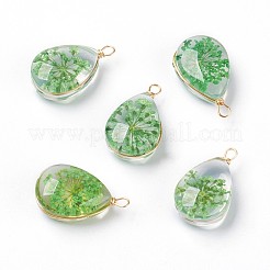 Innere Blume Glas Anhänger&nbsp;GLAA-K036-C01-NF