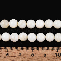 Naturali di acqua dolce perline shell fili&nbsp;SHEL-N038-05