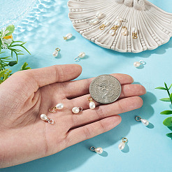 20 pz 2 stili di ciondoli di riso in perle d'acqua dolce coltivate naturali&nbsp;PALLOY-TA00379