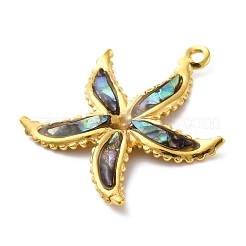 304 Edelstahl Pavé natürliche Paua Muschel/Abalone Muschel Anhänger&nbsp;STAS-S163-21G