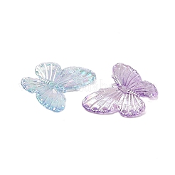 Transparenten Acryl-Anhänger&nbsp;DIY-B073-06A-01