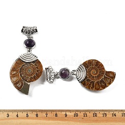 Colgantes de caracol fósil de amatista natural&nbsp;G-F062-16