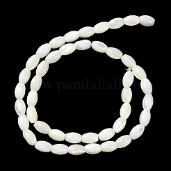 Fili di perline di conchiglia trochus naturale&nbsp;BSHE-E030-02B