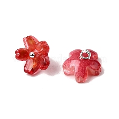 Glas Anhänger / charms&nbsp;GLAA-G127-05C