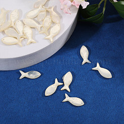 20pcs natürliche Muschelanhänger&nbsp;SHEL-CO0001-01