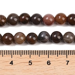Natürliche versteinertes Holz runden Perle Stränge&nbsp;G-F266-08-6mm