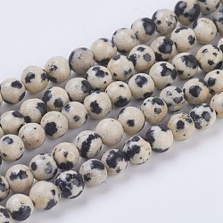 Chapelets de perles en jaspe de dalmation naturelle, ronde, 4mm, Trou: 1mm, Environ 43 pcs/chapelet, 7.6 pouce