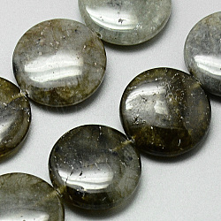 Природные лабрадорита бисер нитей, плоско-круглые, 20x4~7 мм, отверстие : 1 мм, около 20 шт / нитка, 15.7 дюйм