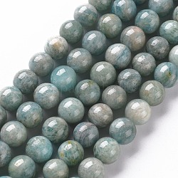 Fili di perline amazonite naturale, tondo, 8~9mm, Foro: 1 mm, circa 45~48pcs/filo, 15.7 pollice