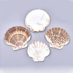 Perles de coquille Saint-Jacques naturelles, Perles en coquille de mer, perles non percées / sans trou, chameau, 83~97x90~107x5~7mm