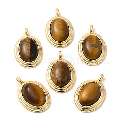 Natural Tiger Eye Pendants, Brass Oval Charms, Real 18K Gold Plated, 23x15x7mm, Hole: 3x2mm