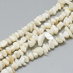 Chapelets de perles en coquille d'eau douce , teinte, puce, beige, 4~14x4~8x1~8mm, Trou: 1mm, Environ 210~250 pcs/chapelet, 31.4 pouce
