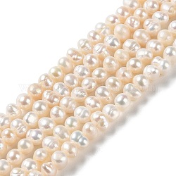 Fili di perle di perle d'acqua dolce coltivate naturali, patata, grado a, papayawhip, 4.5~6.5x4~4.5mm, Foro: 0.6 mm, circa 78pcs/filo, 13.66 pollice (34.7 cm)