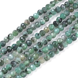 Fili di perle di quarzo smeraldo naturale, tondo, sfaccettato, 3mm, Foro: 0.6 mm, circa 136~147pcs/filo, 15.35 pollice (39 cm)