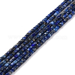 Chapelets de perles en lapis-lazuli naturel, facette, cube, 2x2x2mm, Trou: 0.7mm, Environ 178 pcs/chapelet, 15.39 pouce (39.1 cm)