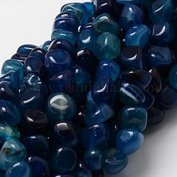 Teints agate naturelle perles de puce brins, bleu, 10~11x10~11x10~11mm, Trou: 1mm, Environ 27 pcs/chapelet, 15.7 pouce