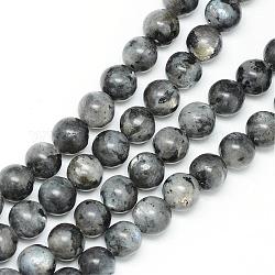 Natürliche Larvikit-Perlenstränge, Runde, 8~9 mm, Bohrung: 1 mm, ca. 46 Stk. / Strang, 15.3 Zoll
