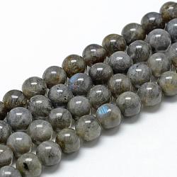 Chapelets de perles en labradorite naturelle , ronde, 11~12mm, Trou: 1mm, Environ 32~35 pcs/chapelet, 15.7 pouce