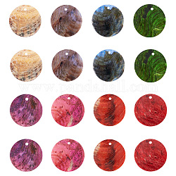 80 Stück 8 Farben natürliche Akoya-Muschel-Anhänger, Flache, runde Anhänger aus Perlmuttmuschel, gefärbt, Mischfarbe, 20x0.5 mm, Bohrung: 1.5 mm, 10 Stk. je Farbe