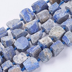 Abalorios de lapislázuli naturales hebras, pepitas, azul medianoche, 18~35x15~26x9~21mm, agujero: 1 mm, aproximamente 11~16 pcs / cadena, 15.75 pulgada