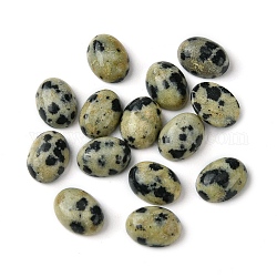 Dalmatien naturel jaspe cabochons, ovale, 8~8.5x6~6.5x2.5~3.5mm