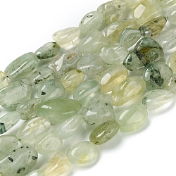 Chapelets de perles en préhnite naturelle, pierre roulée, pépites, 10~18.5x7~12x5~10mm, Trou: 0.8mm, Environ 28 pcs/chapelet, 15.75 pouce (40 cm)