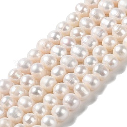 Fili di perle di perle d'acqua dolce coltivate naturali, patata, grado 3a+, papayawhip, 9~10x8~9mm, Foro: 0.7 mm, circa 41~42pcs/filo, 14.06~14.33'' (35.7~36.4 cm)