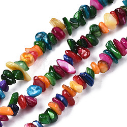 Natural Freshwater Shell Beads Strands, Dyed, Chips, Mixed Color, 2~6x4~14x4.5~8.5mm, Hole: 0.7~0.8mm, about 258~292pcs/strand, 31.10 inch~32.05 inch(79cm~81.4cm)