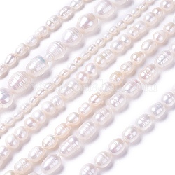 Brins de perles de culture d'eau douce naturelles, blanc, 4~17x4~17mm, Trou: 0.5~1mm, Environ 20~96 pcs/chapelet, 13.5 pouce ~ 15.2 pouces (34.5~38.5 cm)