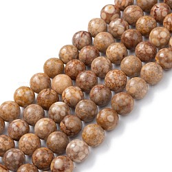 Fili di perline di pietra naturale di maifanite / maifan, tinto, tondo, Perù, 8mm, Foro: 1.2 mm, circa 47pcs/filo, 15.55'' (39.5 cm)