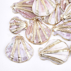 Pendentifs coquille de mer, avec les accessoires en fer, or clair, couleur de coquillage, 33~47x27~43x10~14mm, Trou: 2mm