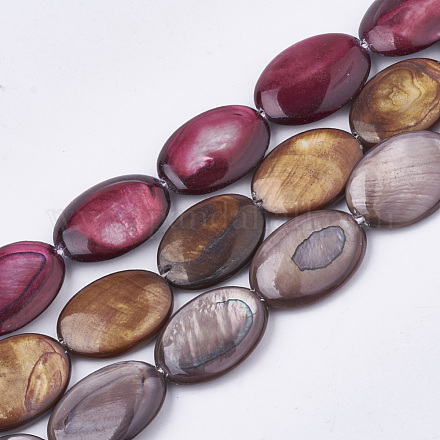 Freshwater Shell Beads Strands SHEL-S274-37-1