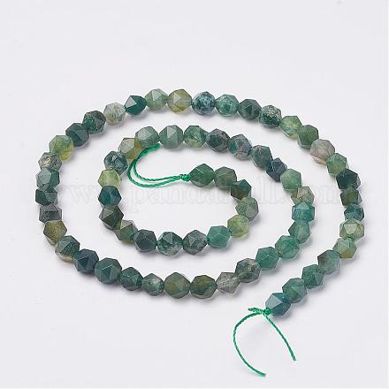Chapelets de perles en agate mousse naturelle G-D170-06-6mm-1