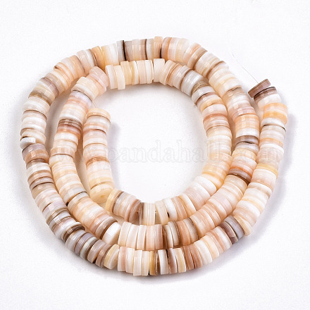Natural Freshwater Shell Beads Strands SHEL-N003-02-1