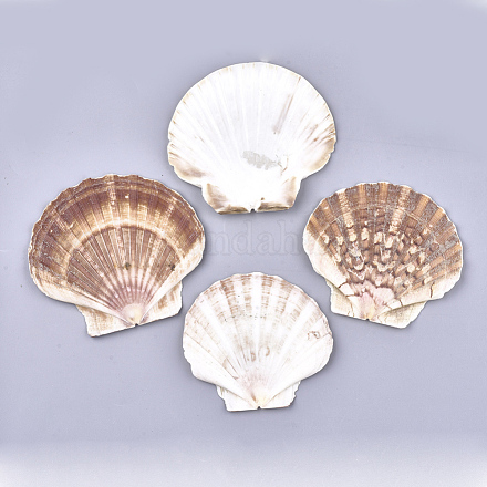 Perles de coquille Saint-Jacques naturelles SSHEL-S258-46-1