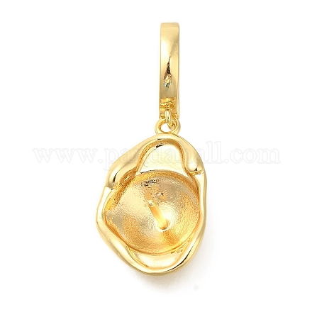 Латунные европейские подвески-шармы KK-K388-57G-1