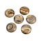 Natural Picture Jasper Cabochons, Half Round/Dome, 25x7~8mm