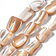 Natural Trochid Shell/Trochus Shell Beads Strands SSHEL-S266-014B-1