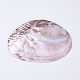 Decoración de concha de perla de agua dulce natural SHEL-K002-01A-4