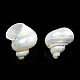 Perles de coquillage en spirale naturelle SSHEL-N034-126-3