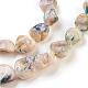 Brins de perles de coquillage naturel teint SHEL-P005-01-3