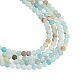 Nbeads 2 Strands Natural Flower Amazonite Beads Strands G-NB0004-47-1