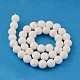 Shell normal de perles blanches de brins BSHE-E002-01-10mm-2